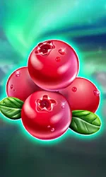 Winterberries